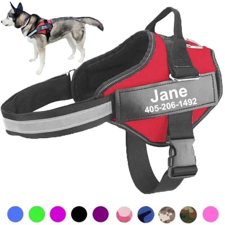 harnais-pour-chien