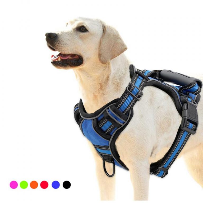 harnais-chien-anti-traction