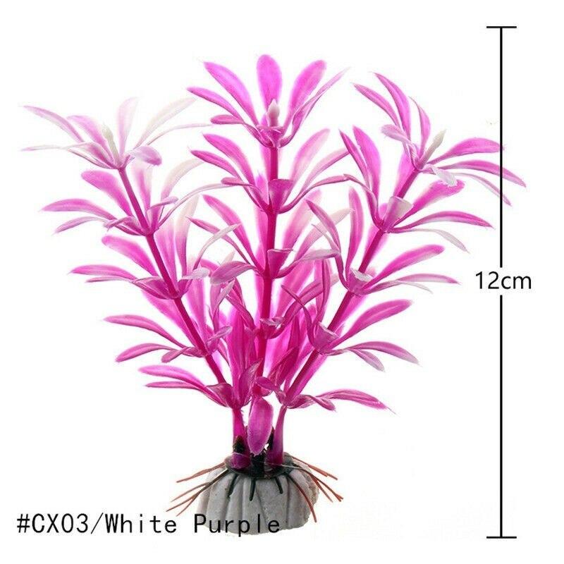 CX03-White Purple