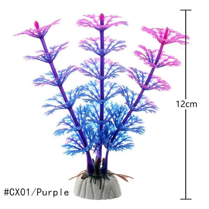 CX01-Purple