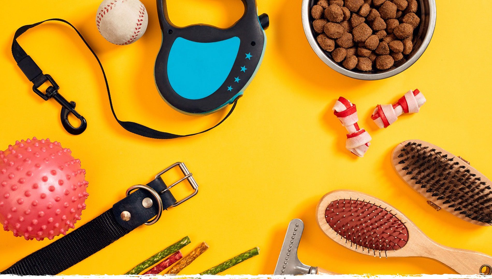 Harnais + Laisse Réglables pour Petits Chiens & Chats – Confort Doux