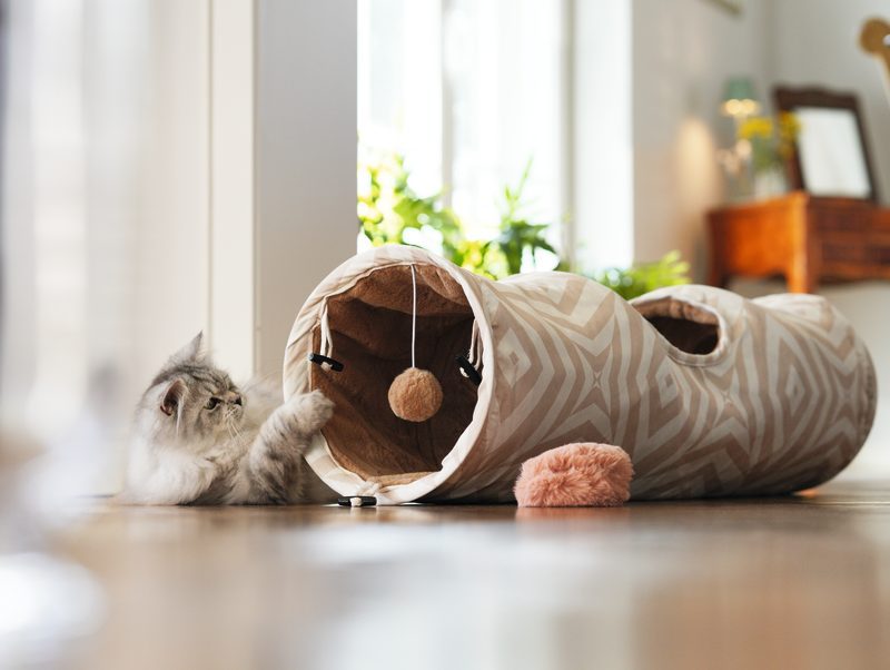 Tunnel de Jeu Amusant pour Chat – Kit Interactif avec Bâton, Souris