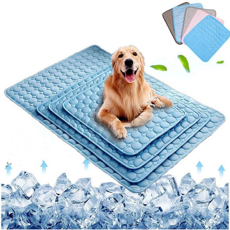 Tapis pour chien : les signes de confort que les maitres oublient souvent - Tapis pour chien