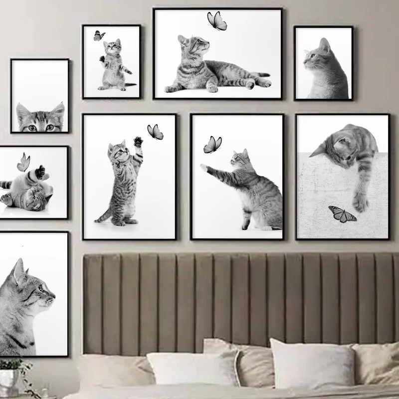 Decoration Chat - Guide d'achat 2026