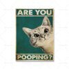 Tableau chat salle de bain humoristique