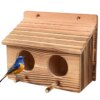 103627-3ca493.jpg Maison d’Oiseaux à 2 Trous – Nichoir Créatif Suspendu en Bois Fait Main
