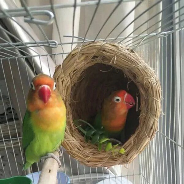 Nid d’Oiseau en Paille Naturelle – Nid Fait Main Chaud pour Perroquets