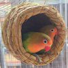 Nid d’Oiseau en Paille Naturelle – Nid Fait Main Chaud pour Perroquets