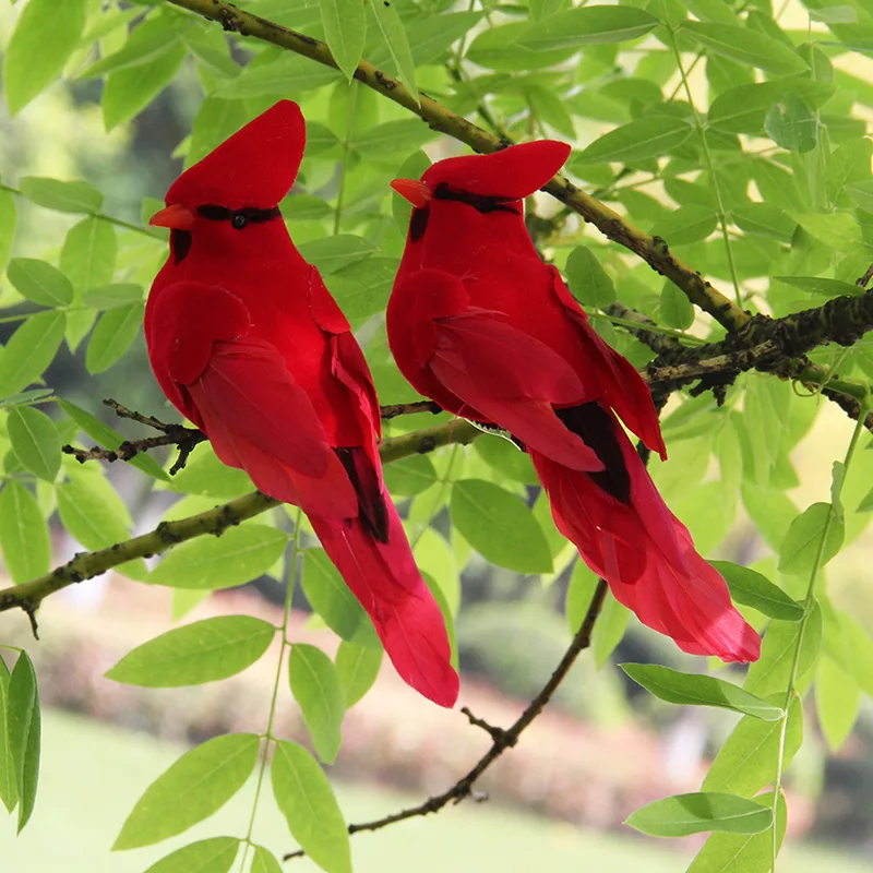 2Pcs Red Parrot