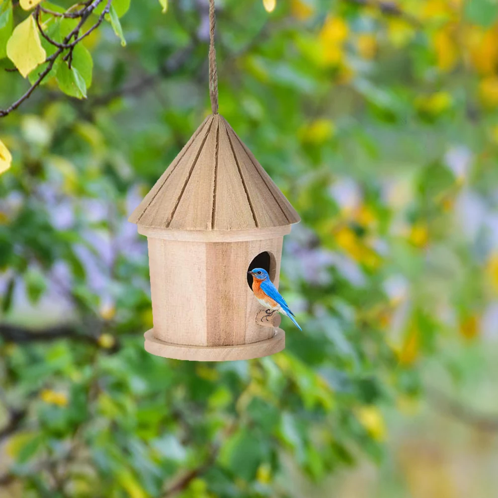 Nid d Oiseau - Guide d'achat 2026