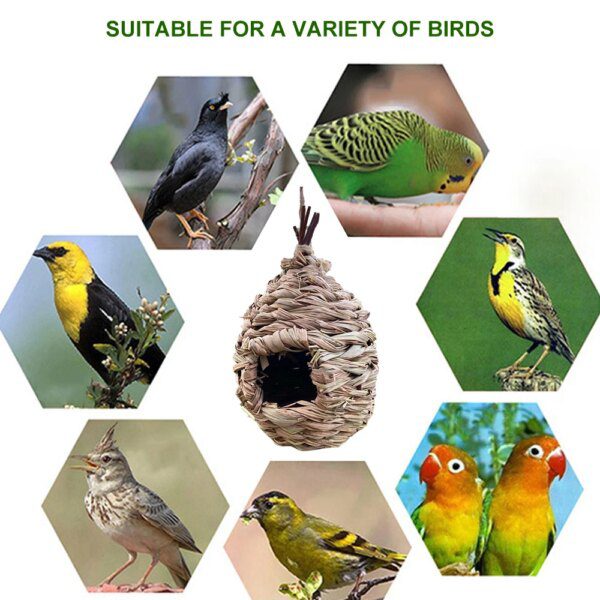 Nid d’Oiseau Naturel – Refuge Apaisant & Maison Décorative