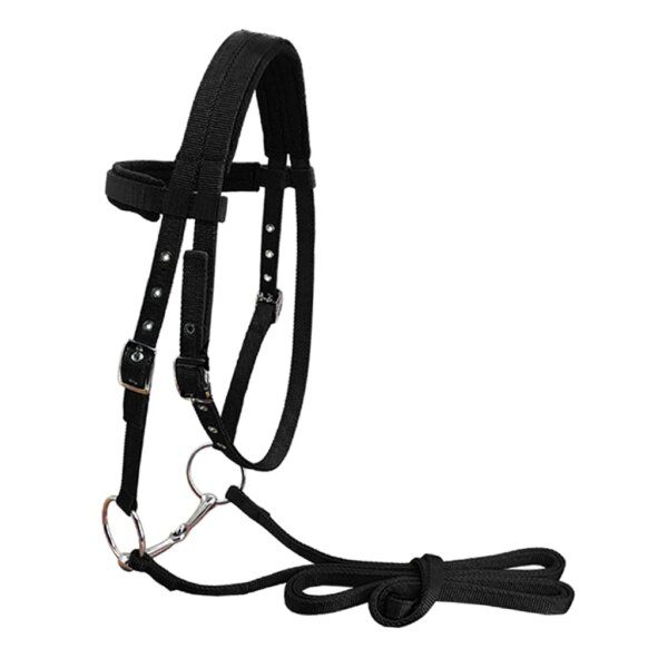 Harnais cheval nylon souple bride tête 3 tailles