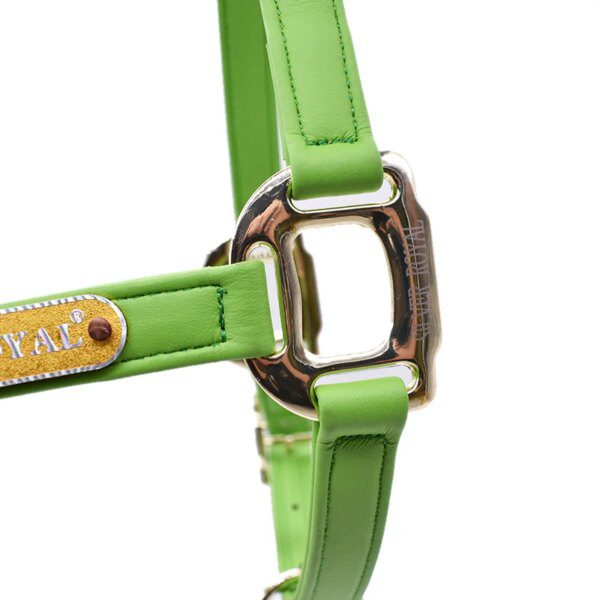 103882-11f8d3.jpg harnais cheval de Tête de Cheval Super Halter Résistant à l'Usure