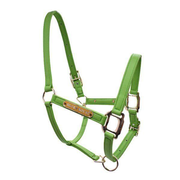 103882-f4ce92.jpg harnais cheval de Tête de Cheval Super Halter Résistant à l'Usure