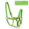 Harnais tête cheval cuir licol Silver Royal 4 tailles