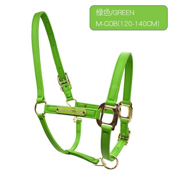 103889-44e128.jpg Harnais tête cheval cuir licol Silver Royal 4 tailles