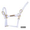 harnais cheval Licou en cuir rigide cousu pour femme