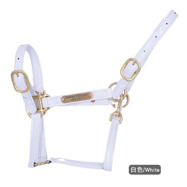harnais cheval Licou en cuir rigide cousu pour femme