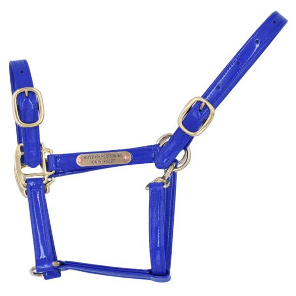 harnais cheval Licou en cuir rigide cousu pour femme