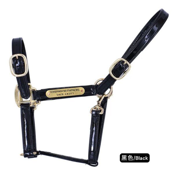 harnais cheval Licou en cuir rigide cousu pour femme
