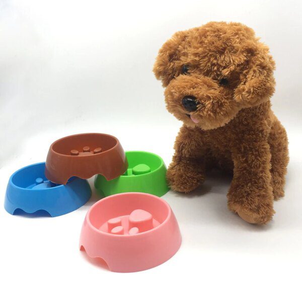 Gamelle Anti-Glouton Chien & Chat – Bol à Impression de Pattes