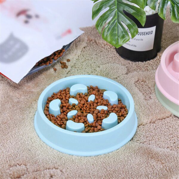 Gamelle Anti-Glouton Chien & Chat – Alimentation Lente