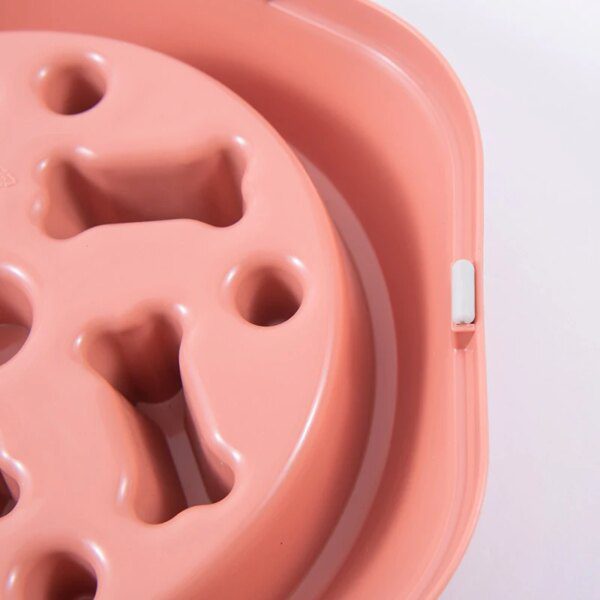 Gamelle Anti-Glouton Lente