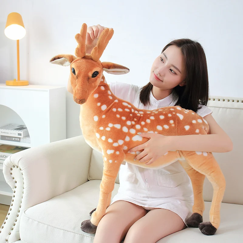 Sika deer