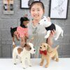 Peluche chien de simulation de haute qualité pour enfants, jouet en peluche doux