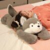 Peluche Squishy de dessin animé Husky, chien en peluche, grande poupée de chiot
