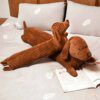 Peluche chien en forme teckel, long coussin en peluche réaliste