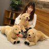 Peluche chien réaliste pour enfants, chien du Labrador simulé, poupées de chiot créatives