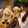 Peluche chien réaliste pour enfants, chien du Labrador simulé, poupées de chiot créatives