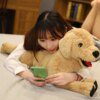 Peluche chien réaliste pour enfants, chien du Labrador simulé, poupées de chiot créatives