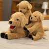 Peluche chien réaliste pour enfants, chien du Labrador simulé, poupées de chiot créatives