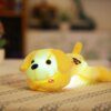 Peluche chien 35 cm En Peluche chien poupée avec coloré LED lumière
