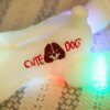 Peluche chien 35 cm En Peluche chien poupée avec coloré LED lumière