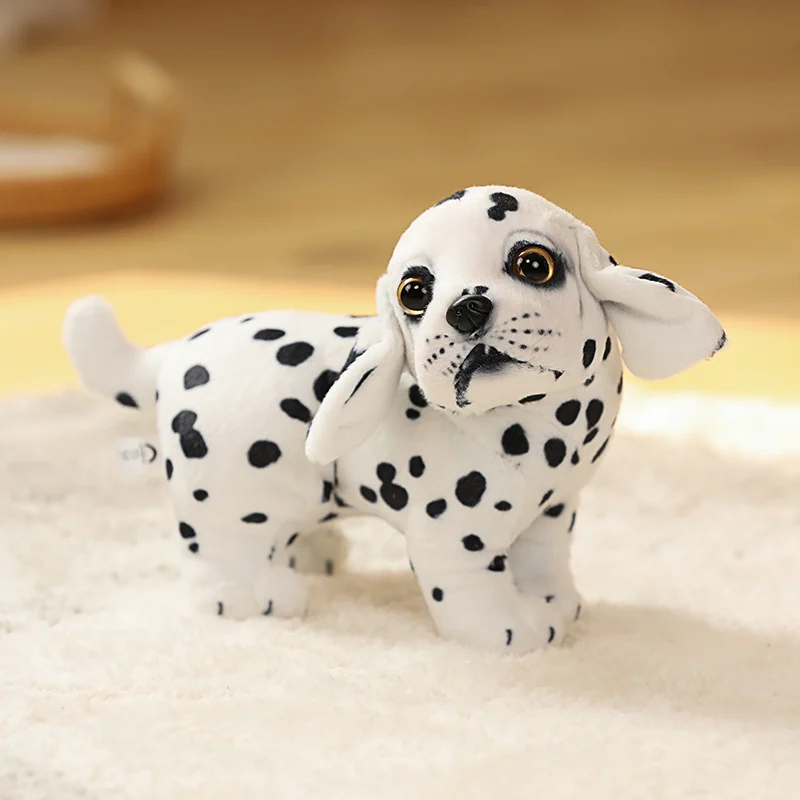 Dalmatian