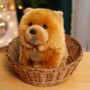 Peluche chien Kawaii Chow Chow de 30cm, jouet mignon et réaliste