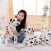 Peluche chien dalmatien en peluche, jouet de simulation d'angidog, animaux en peluche