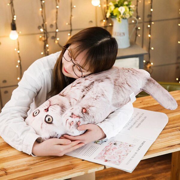 105424-22fb8e.jpg Peluche chien et chat, coussin amusant en peluche, Animal de dessin animé