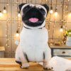 105424-67b409.jpg Peluche chien et chat, coussin amusant en peluche, Animal de dessin animé