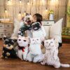 105424-bc174e.jpg Peluche chien et chat, coussin amusant en peluche, Animal de dessin animé