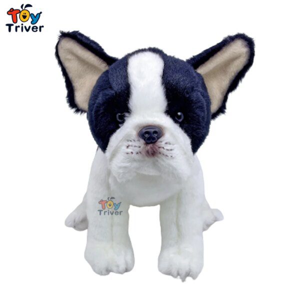 105642-0340b3.jpg peluche Loup maltais, Husky, Labrador, Saint Bernard, FN, anian