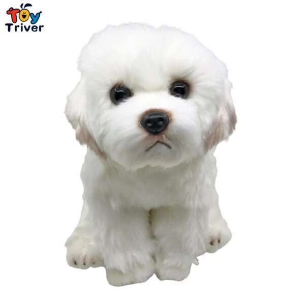 105642-9e41c3.jpg peluche Loup maltais, Husky, Labrador, Saint Bernard, FN, anian