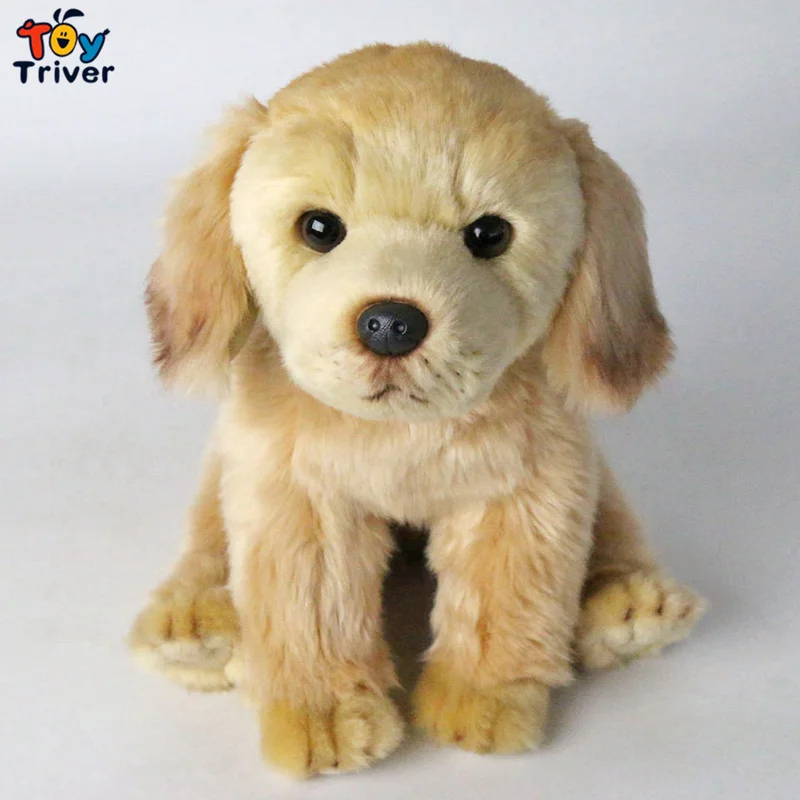 29cm Labrador