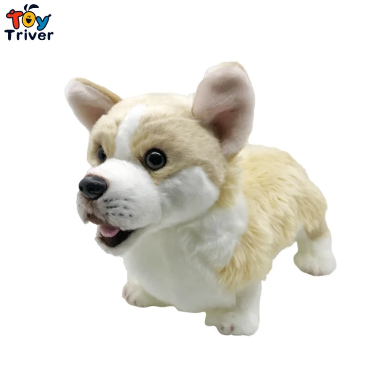 32cm Corgi
