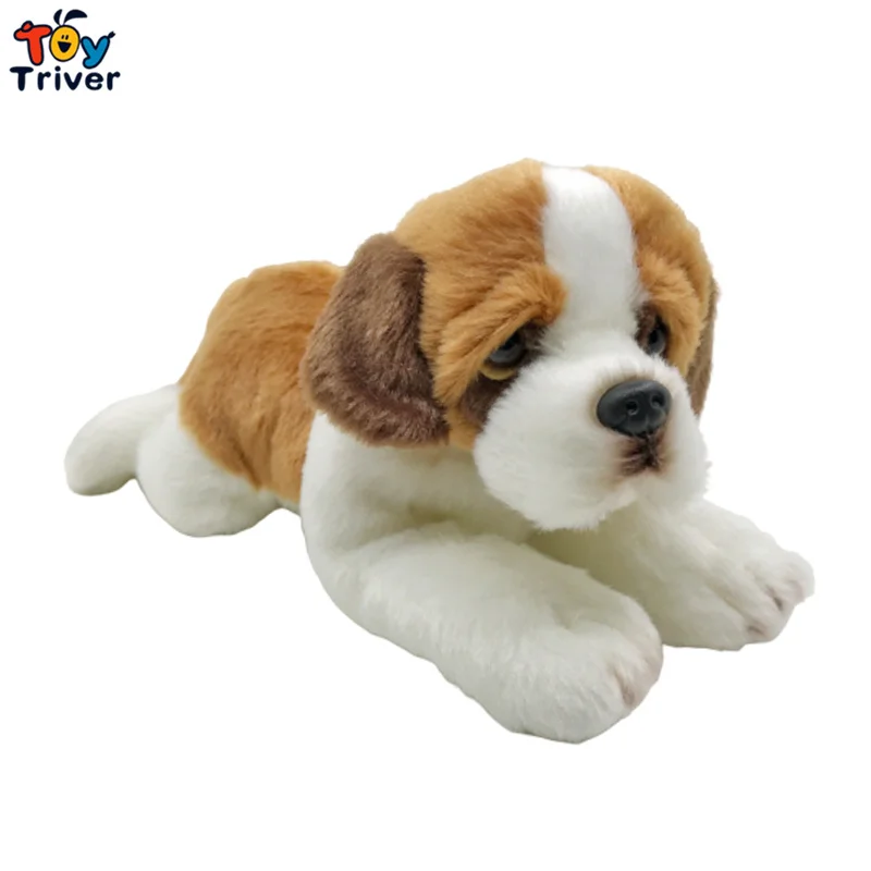 23cm Saint Bernard