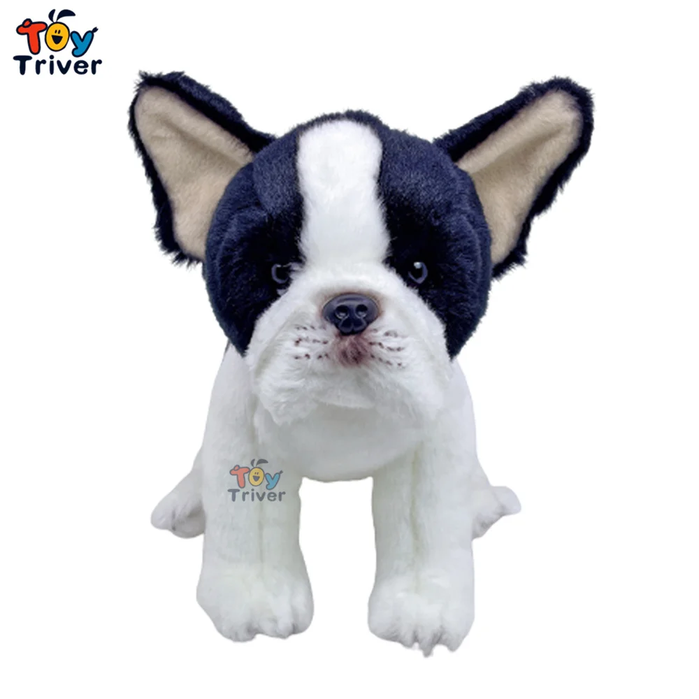 30cm bulldog