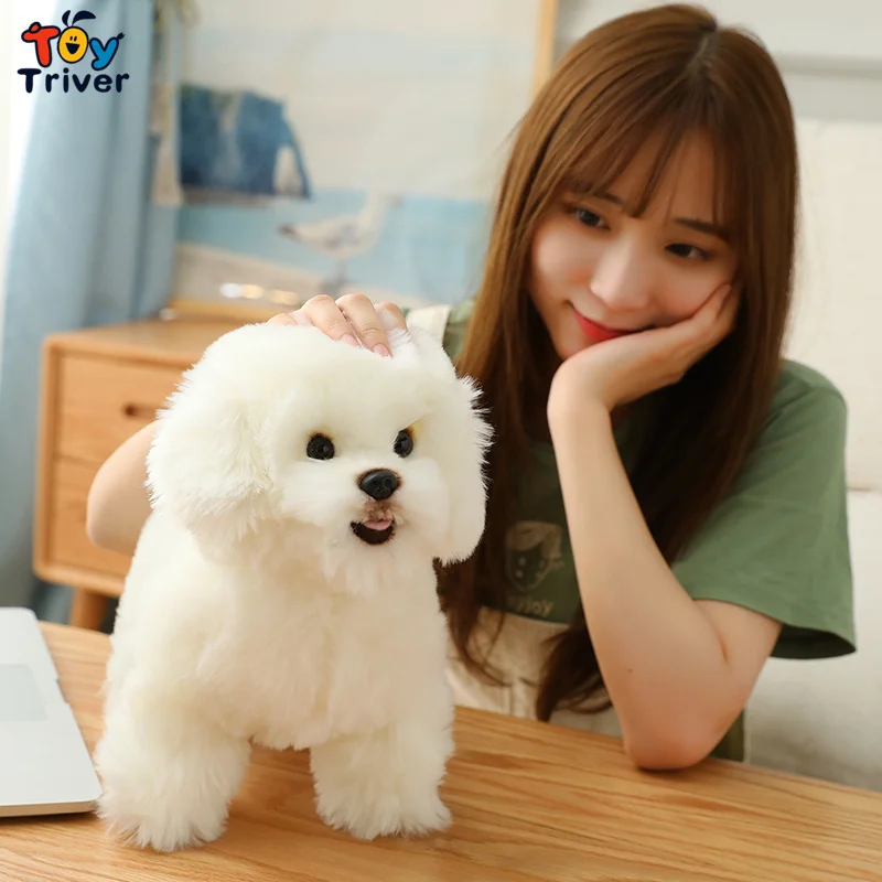 35cm Bichon Dog